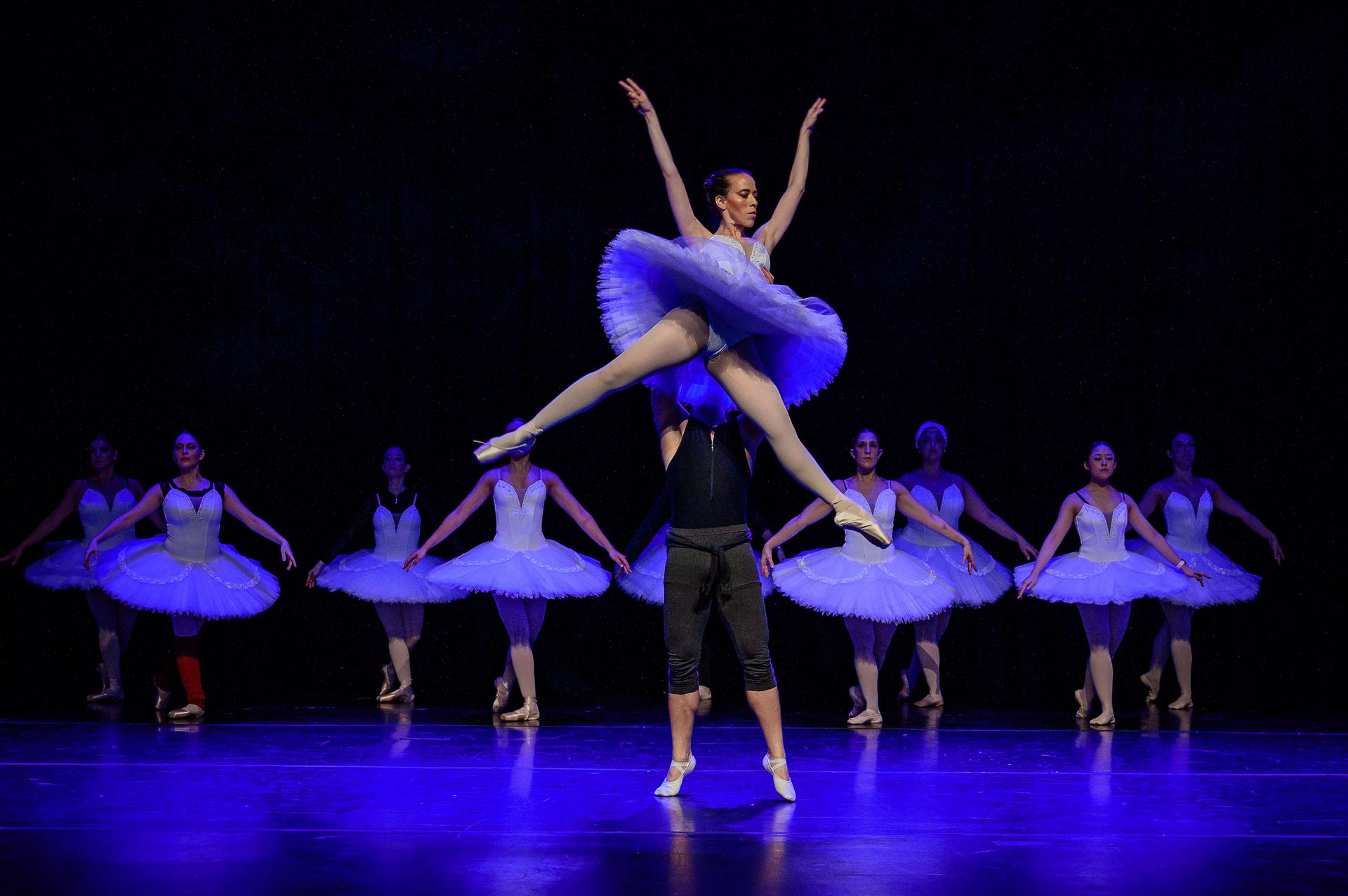 O Lago dos Cisne - BLA (Ballet Livre Adulto) - 2 - 19