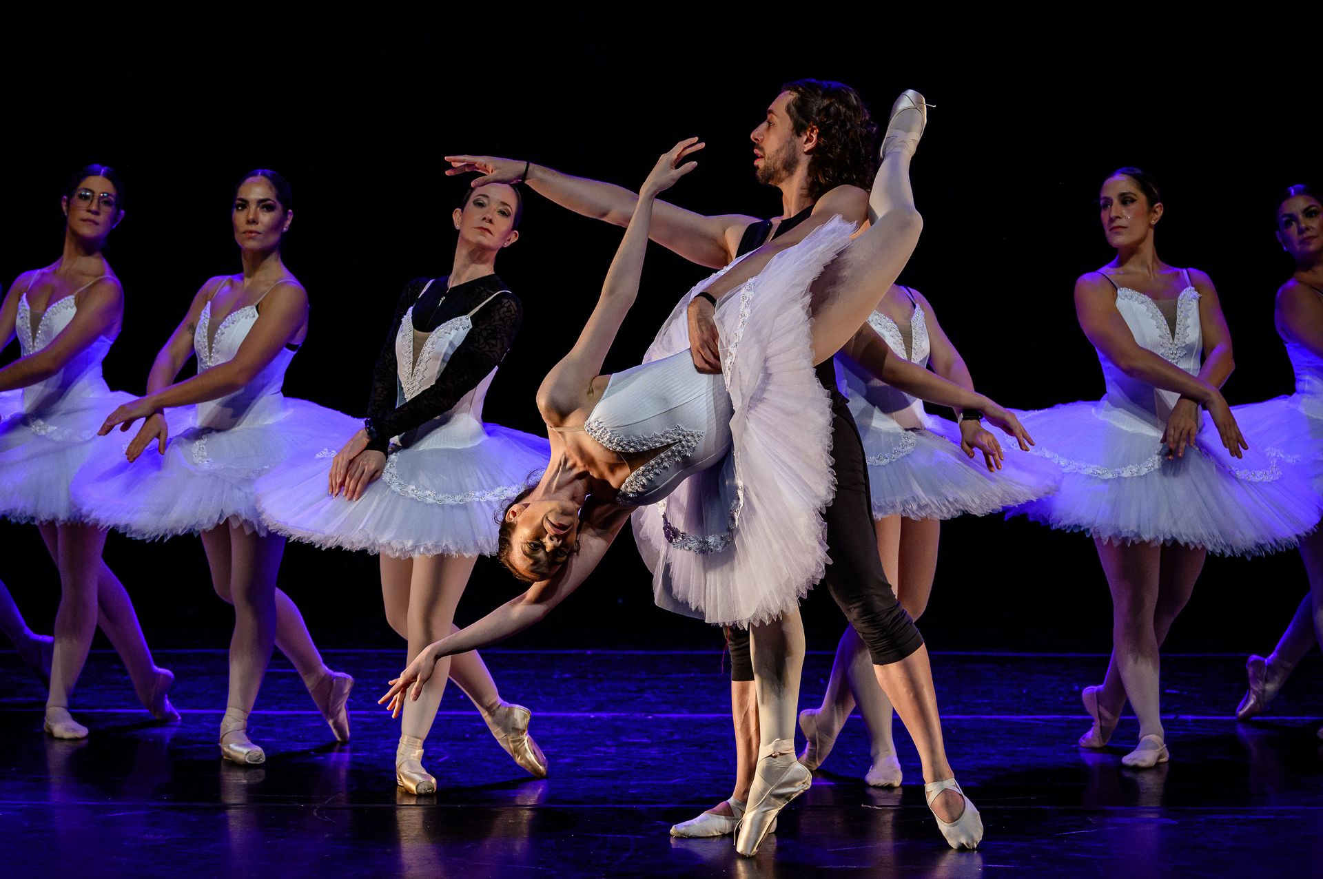 O Lago dos Cisne - BLA (Ballet Livre Adulto) - 2 - 16