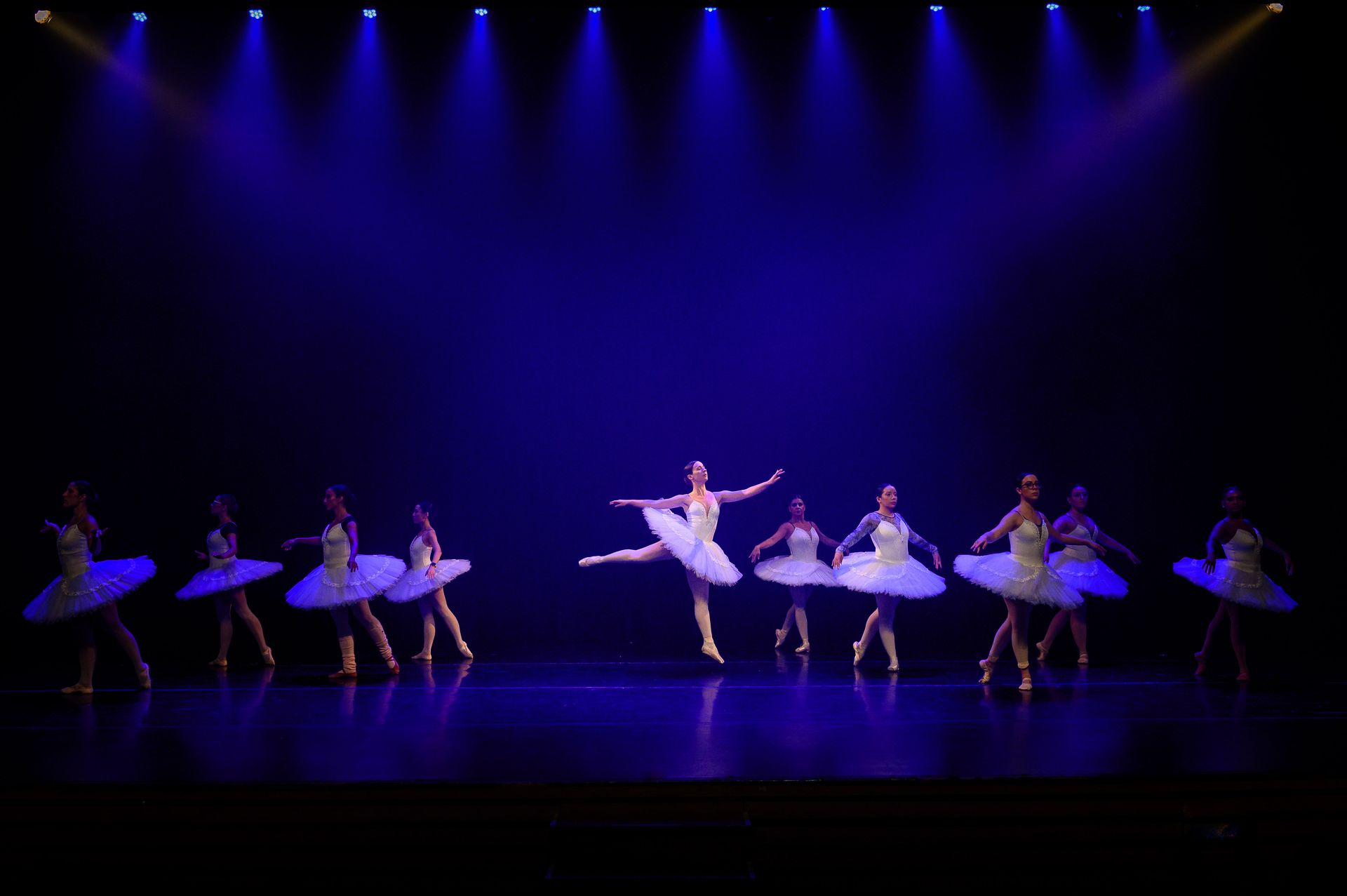 O Lago dos Cisne - BLA (Ballet Livre Adulto) - 2 - 3