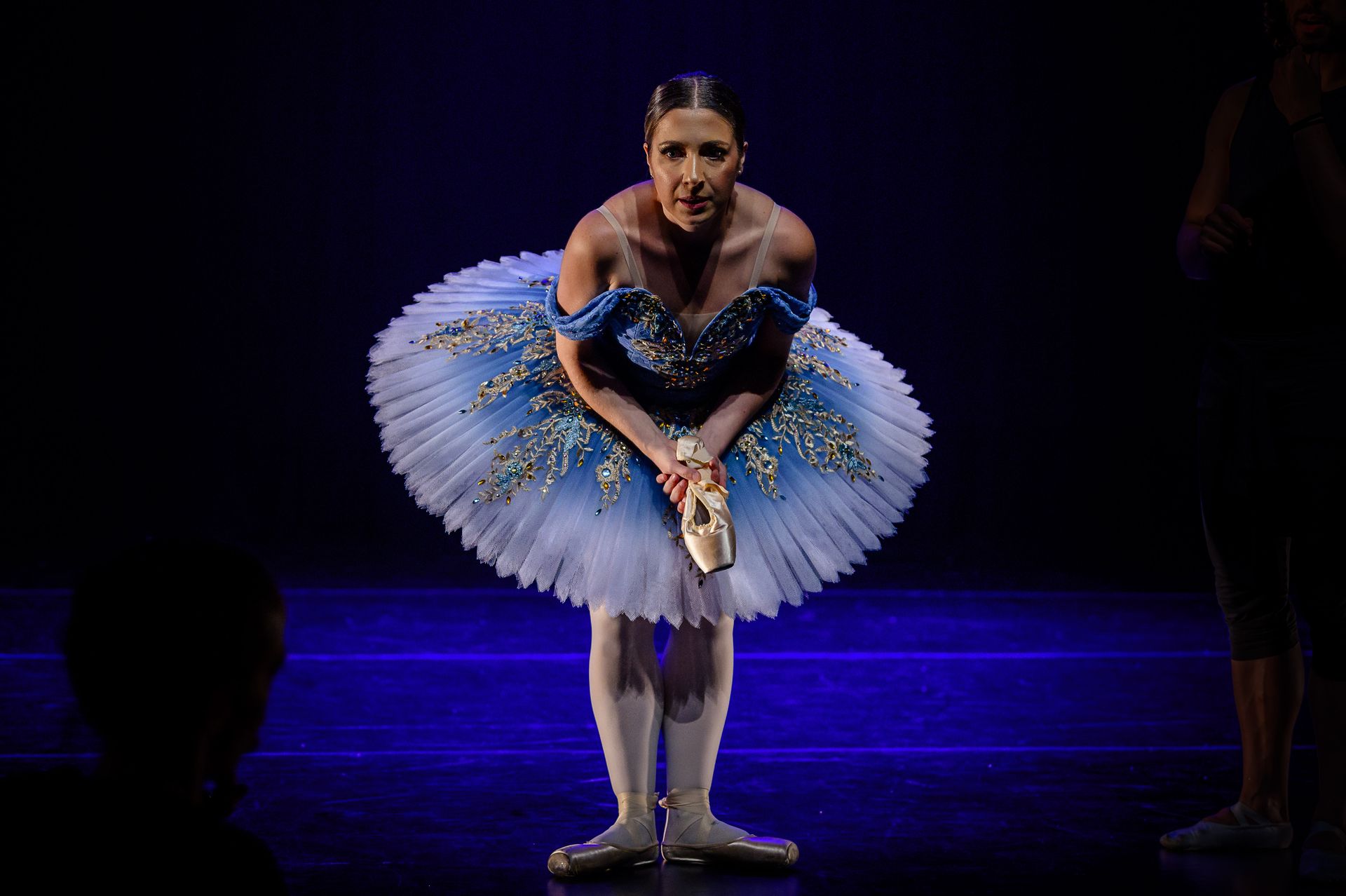 O Lago dos Cisne - BLA (Ballet Livre Adulto) - 2 - 1