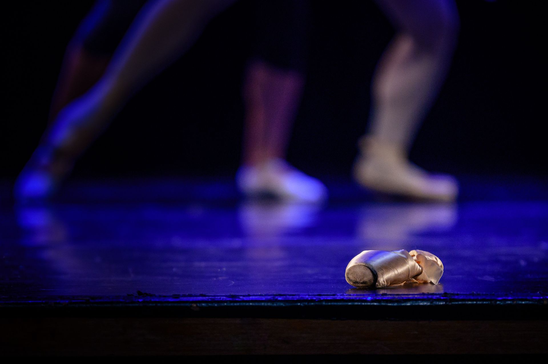 O Lago dos Cisne - BLA (Ballet Livre Adulto) - 2 - 0