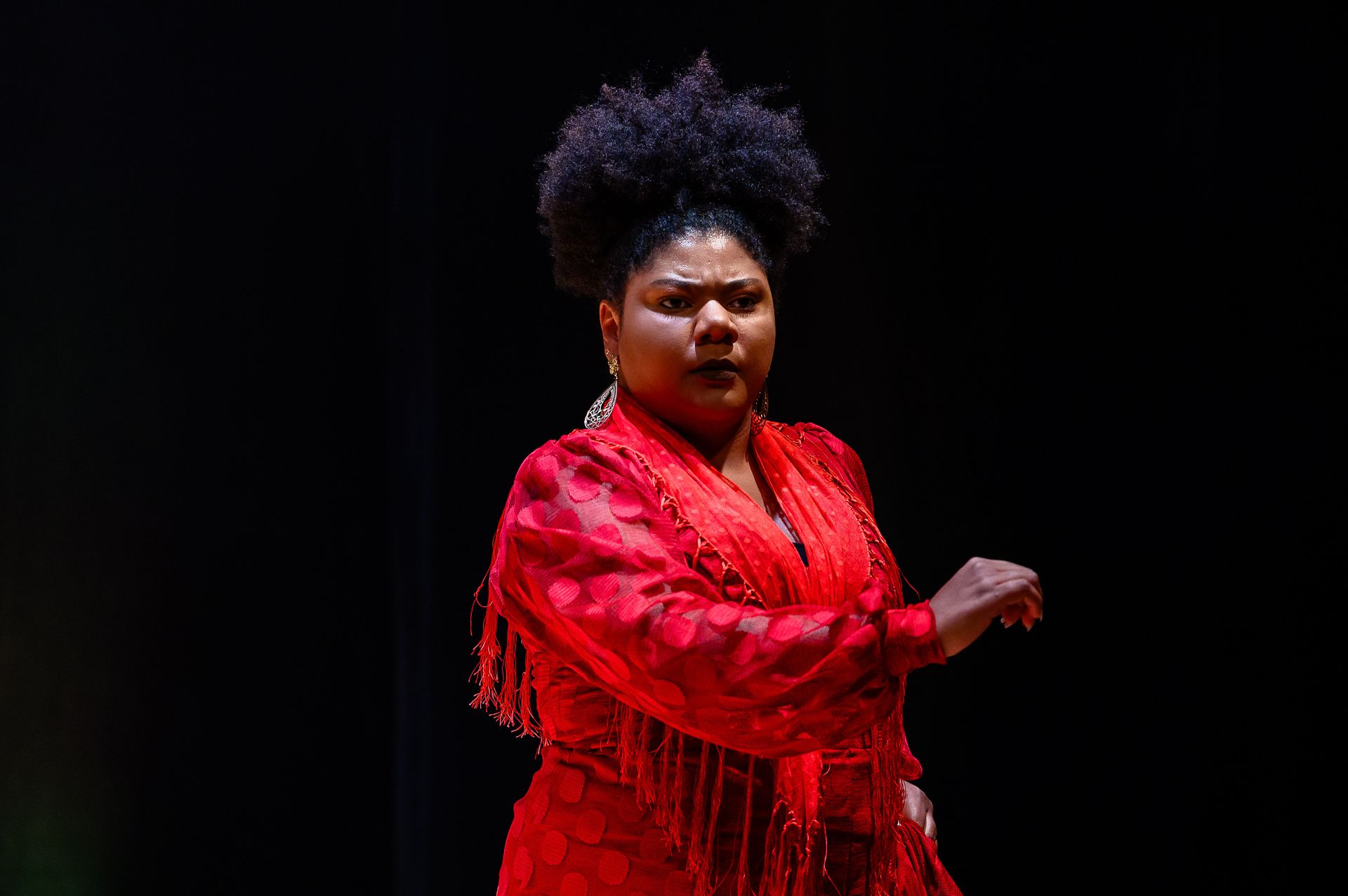 Espetáculo Flamenco Negro - Cia La Negra Ana Medeiros - 2 - 1