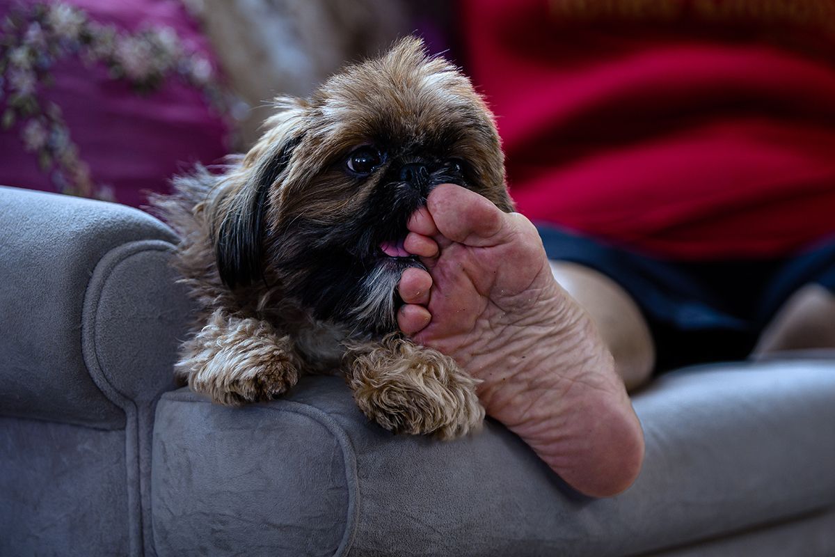 Projeto Eu sou o Baile - Lilian Moss - 2 - 11