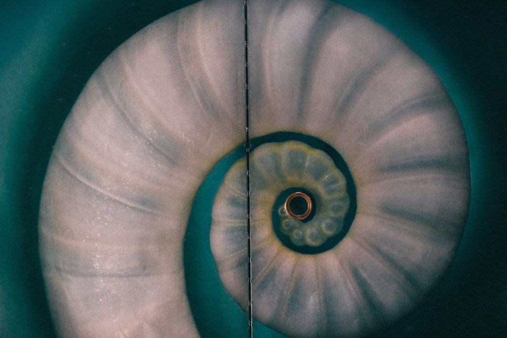 Fotografia de Casamento - 1 - 24