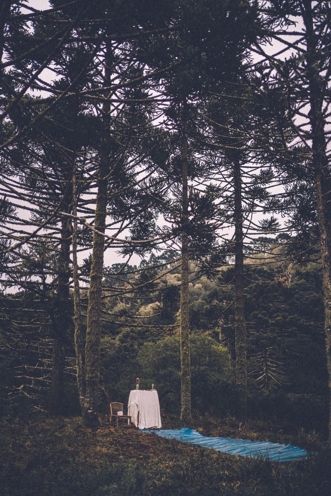 Casamento intimista em Urubuci - 2 - 107