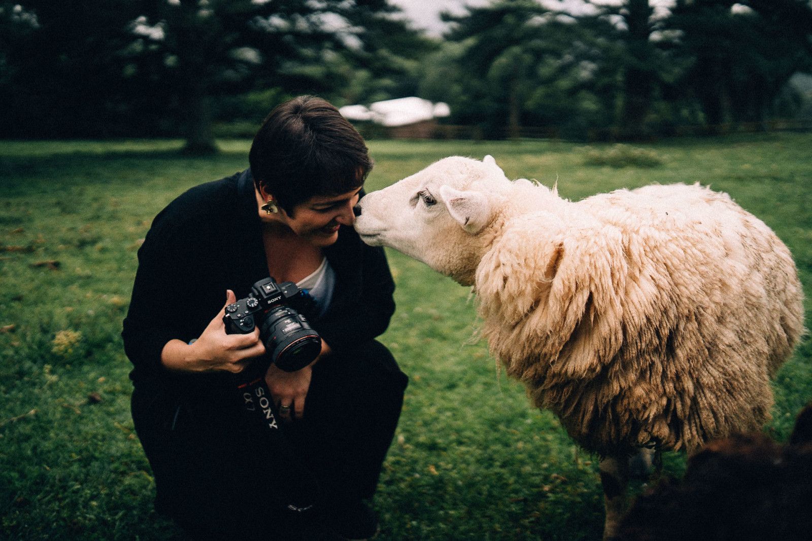 Casamento na serra - 2 - 20