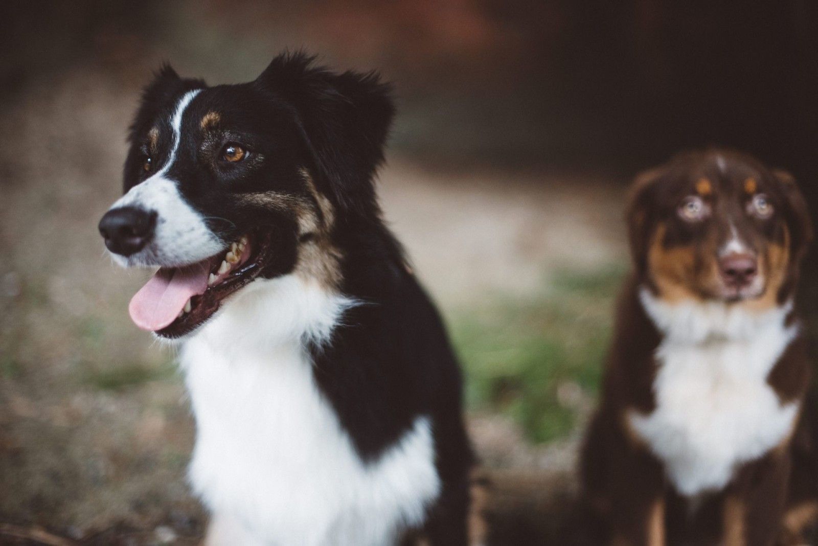 Casamento no Haras - 2 - 69