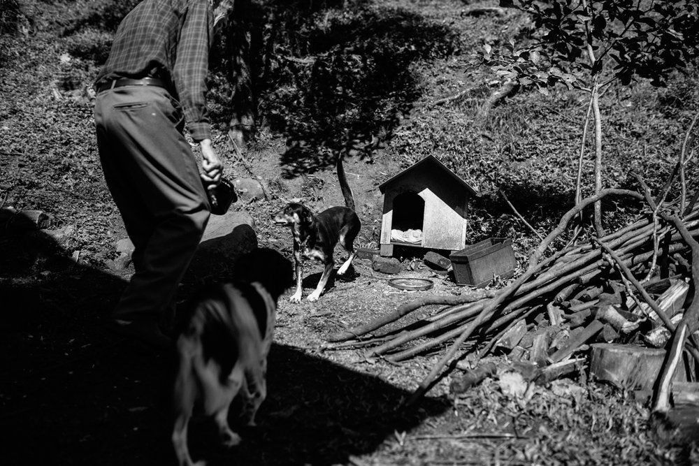 Polenta Gourmet - 2 - 7