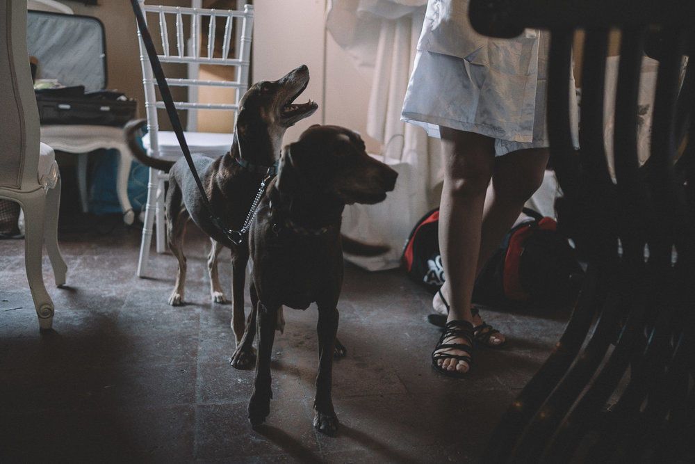 Royal Air Maroc Sucks - 2 - 210