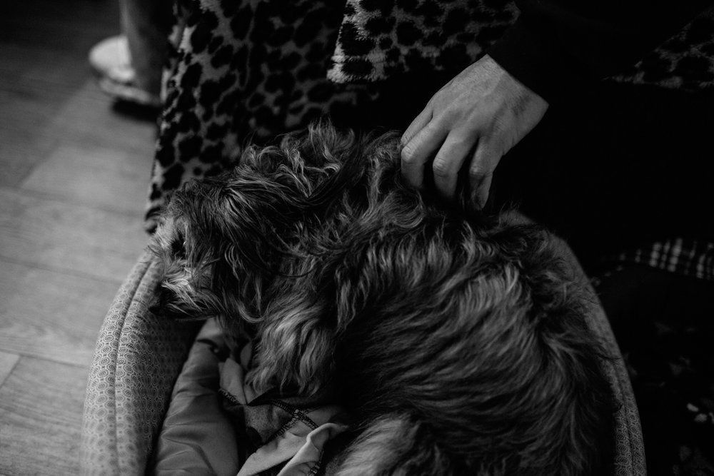 Polenta Gourmet - 2 - 11