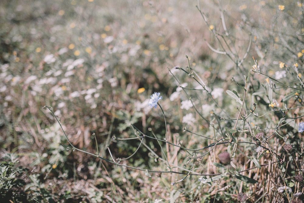 Karen + Tom - 2 - 112