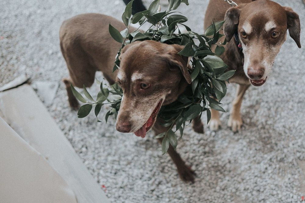 Royal Air Maroc Sucks - 2 - 31