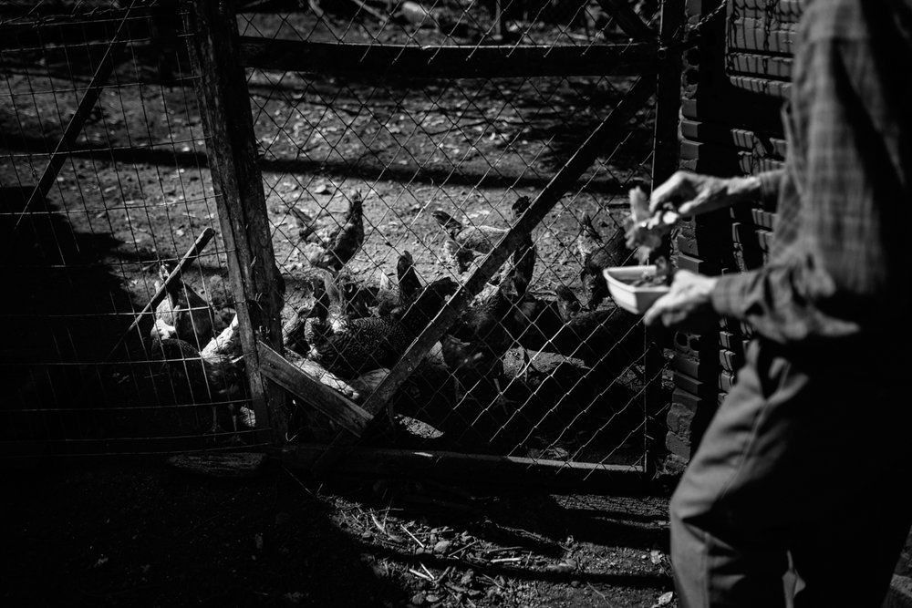 Polenta Gourmet - 2 - 13