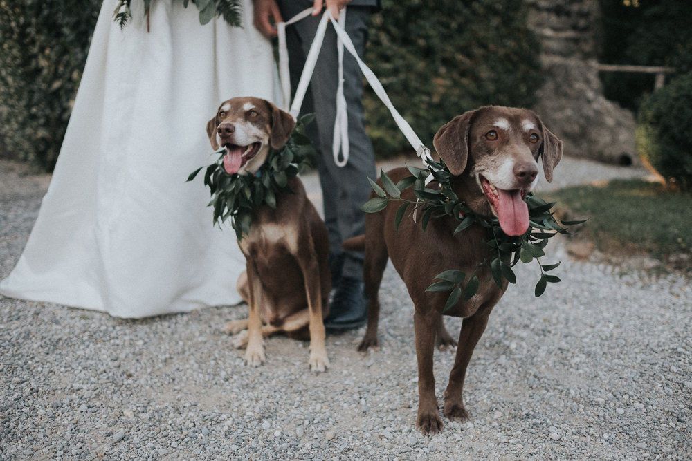 Royal Air Maroc Sucks - 2 - 33