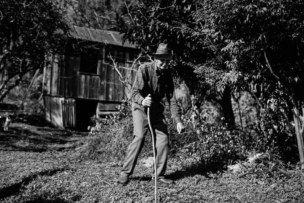 Polenta Gourmet - 2 - 26