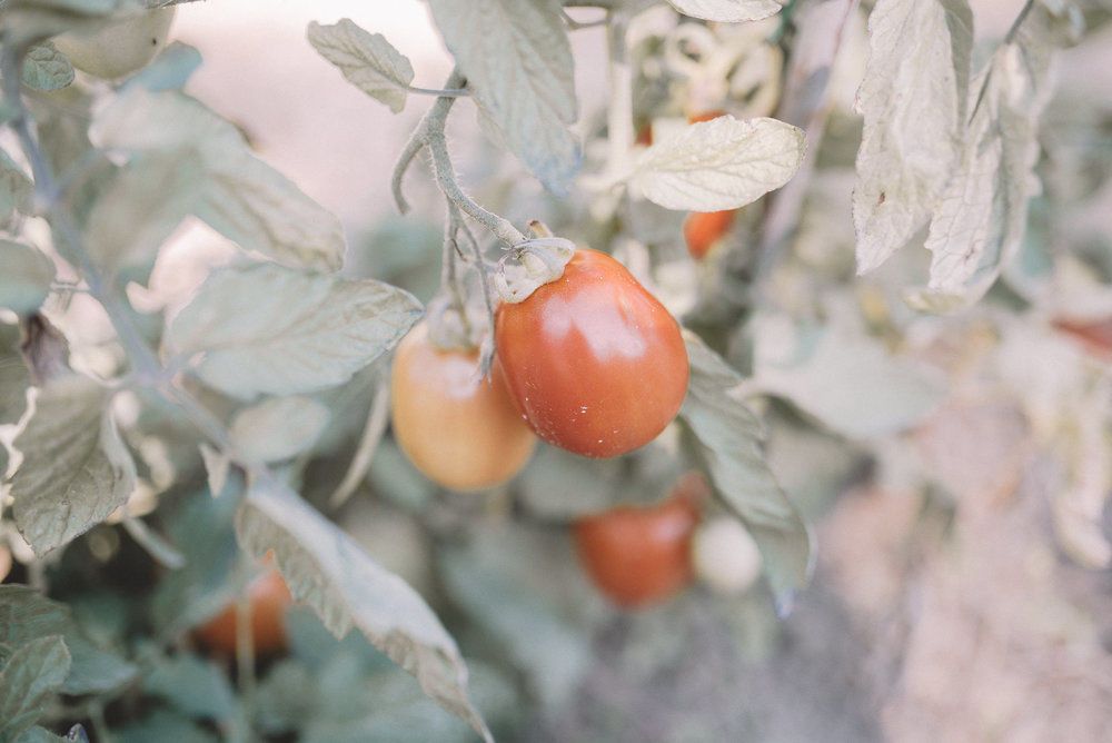 Karen + Tom - 2 - 57