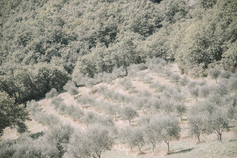 Karen + Tom - 2 - 206