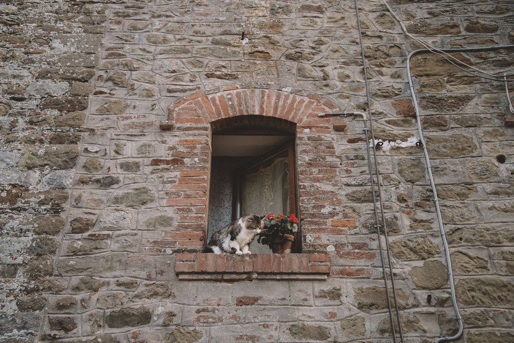 Karen + Tom - 2 - 168