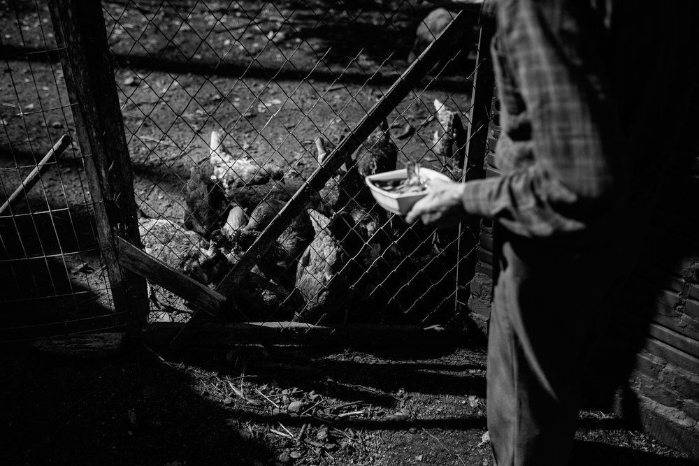 Polenta Gourmet - 2 - 40