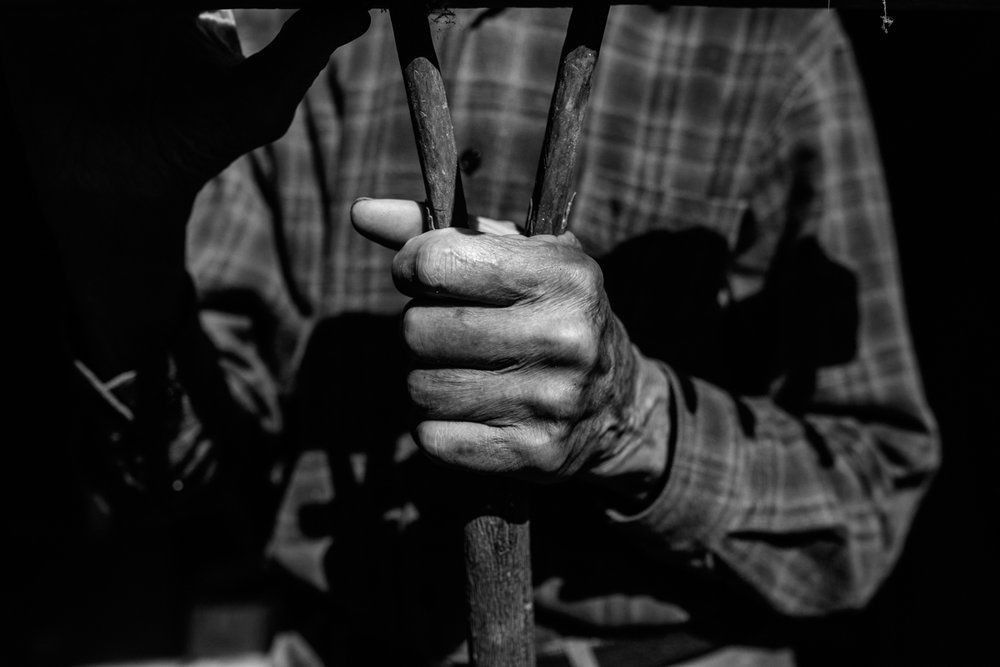 Polenta Gourmet - 2 - 29