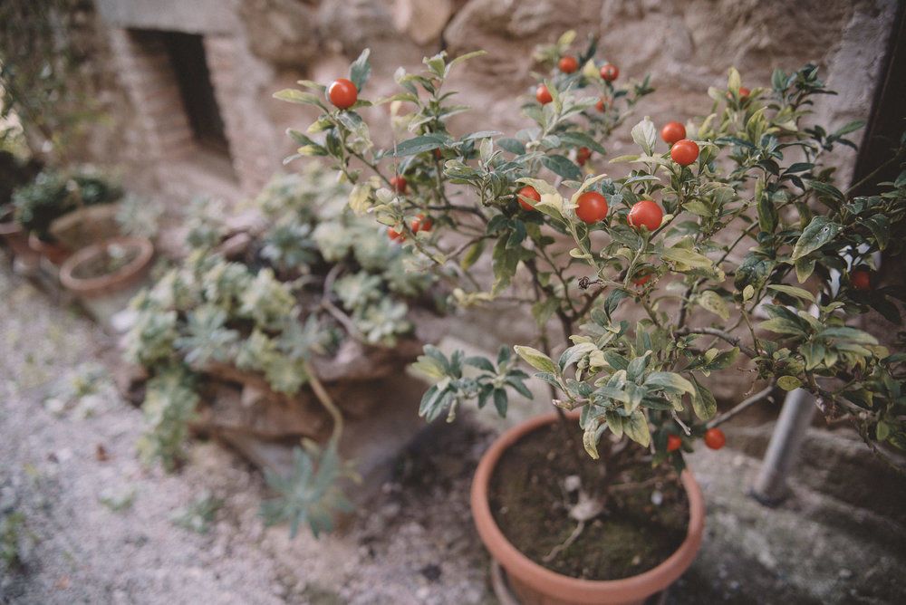 Karen + Tom - 2 - 89