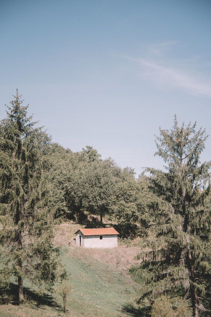 Karen + Tom - 2 - 216