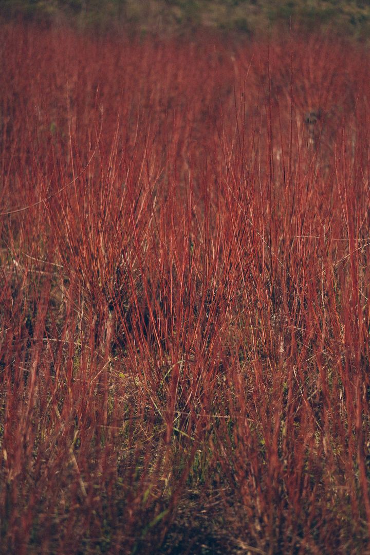 Menor Temperatura do ano no Brasil - 2 - 63