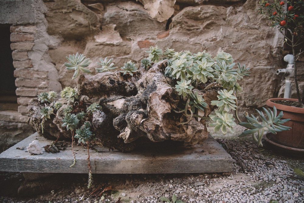 Karen + Tom - 2 - 230