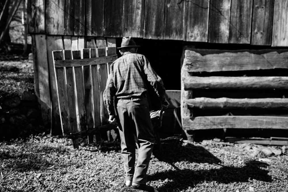 Polenta Gourmet - 2 - 50