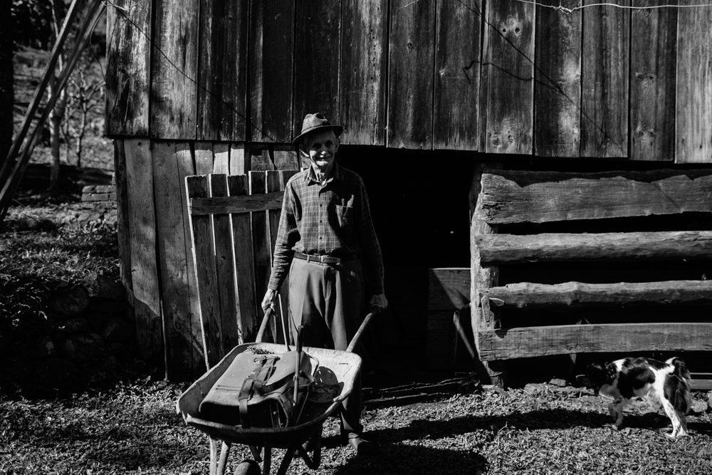 Polenta Gourmet - 2 - 54