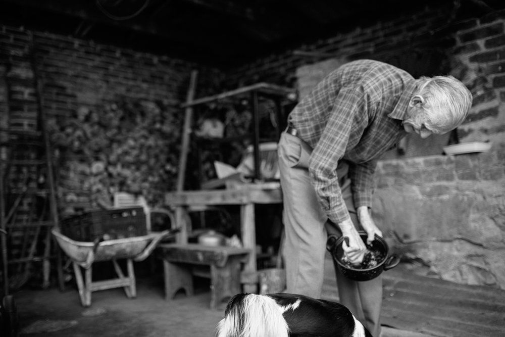 Polenta Gourmet - 2 - 52