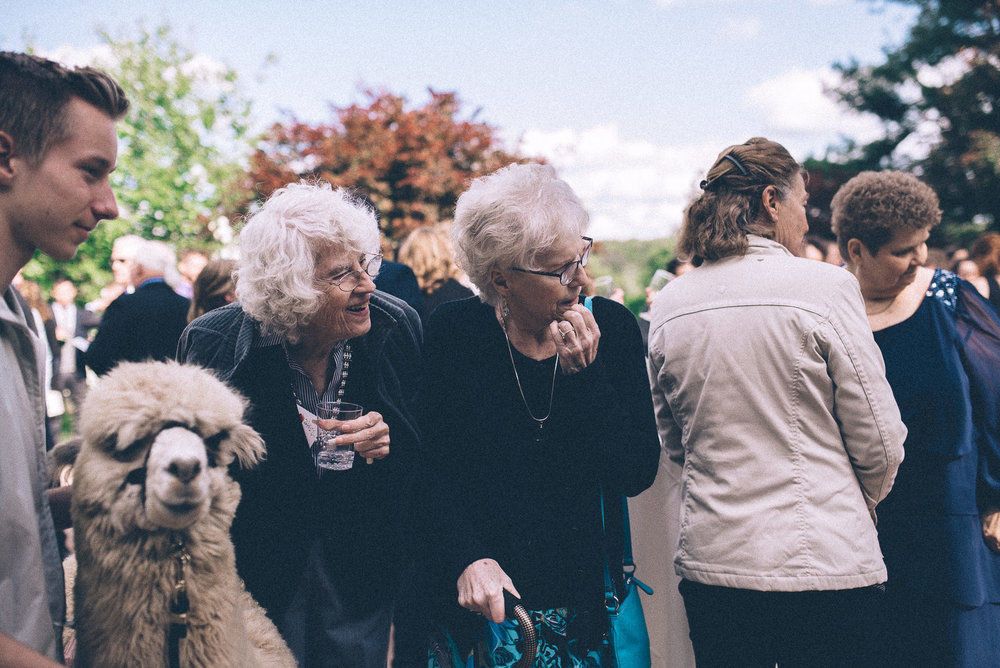 Katie & Brent - 2 - 156