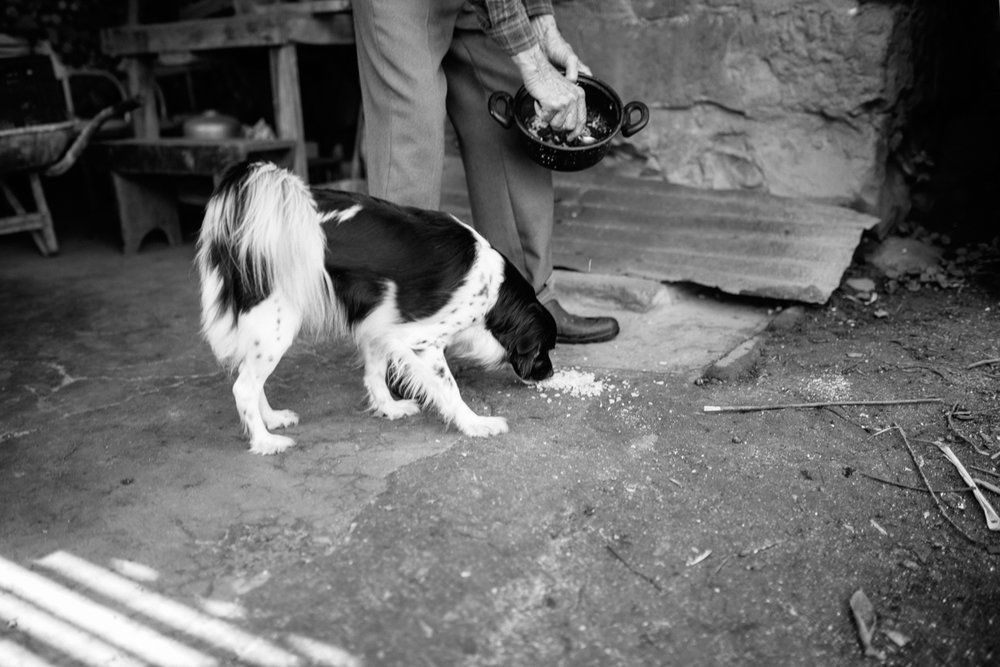 Polenta Gourmet - 2 - 55