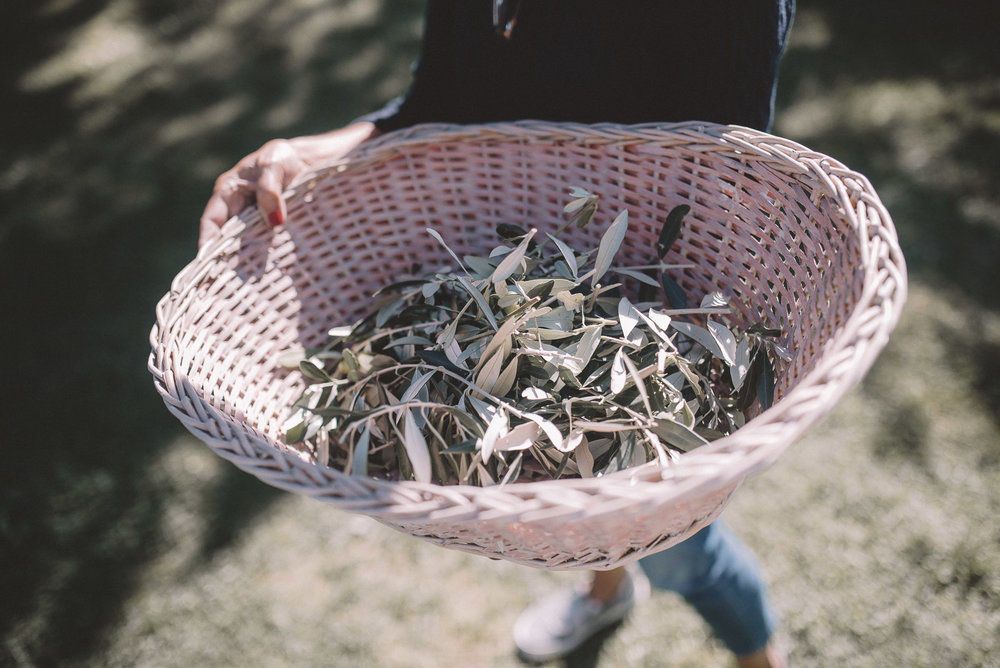 Karen + Tom - 2 - 275