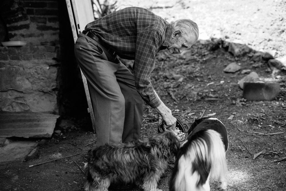 Polenta Gourmet - 2 - 56