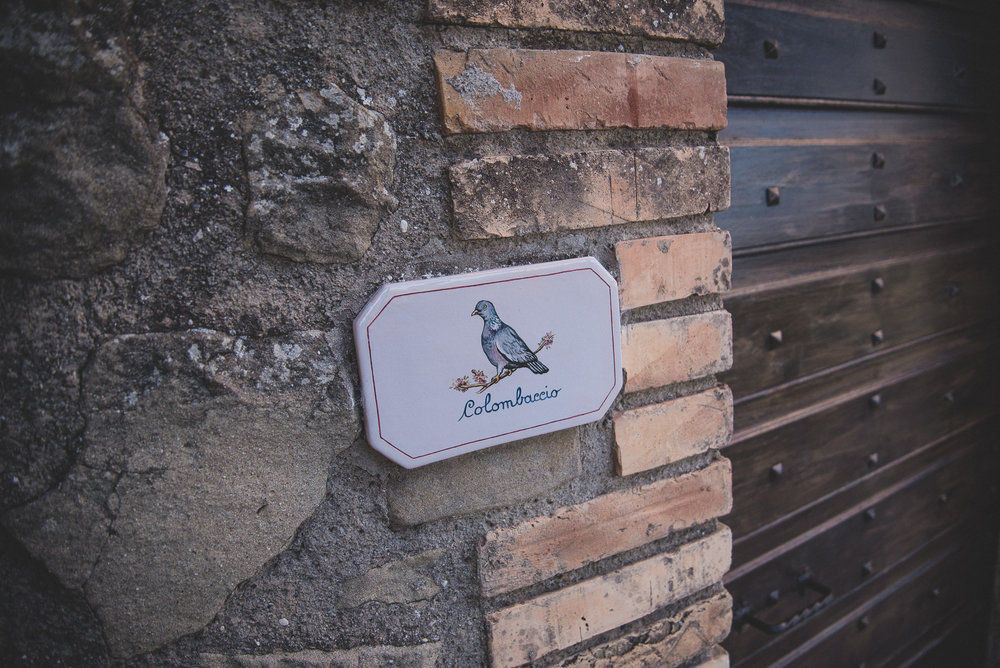 Karen + Tom - 2 - 283