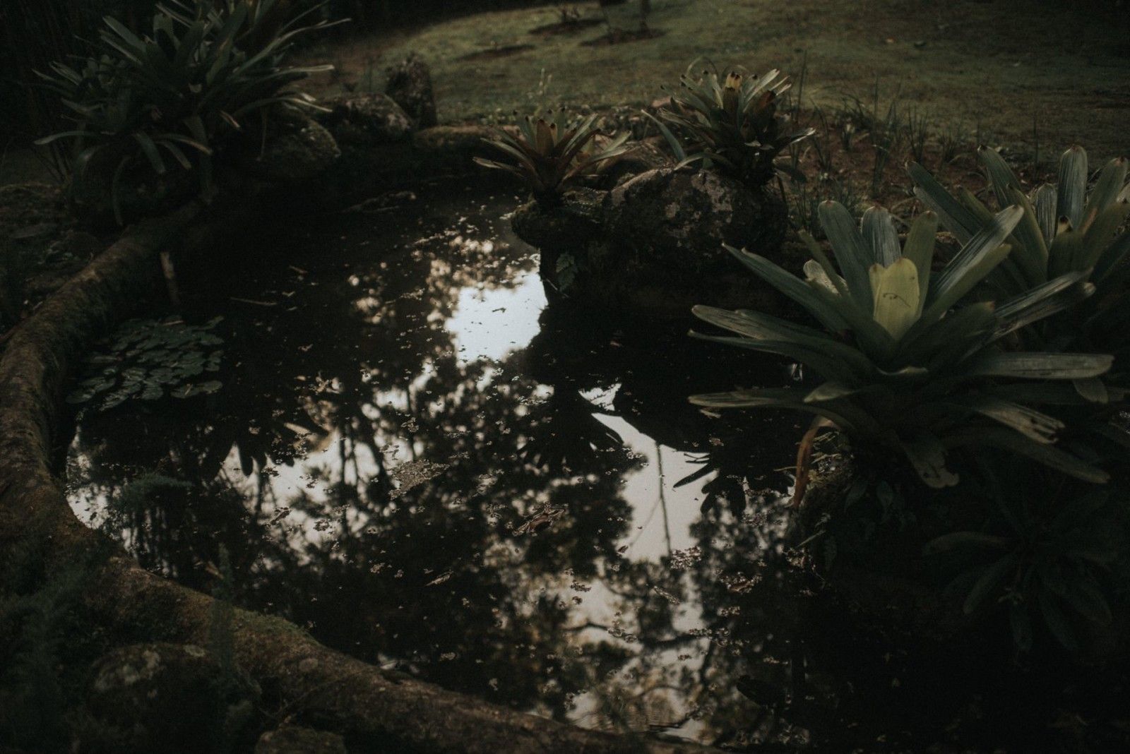 Casamento na montanha - 2 - 5