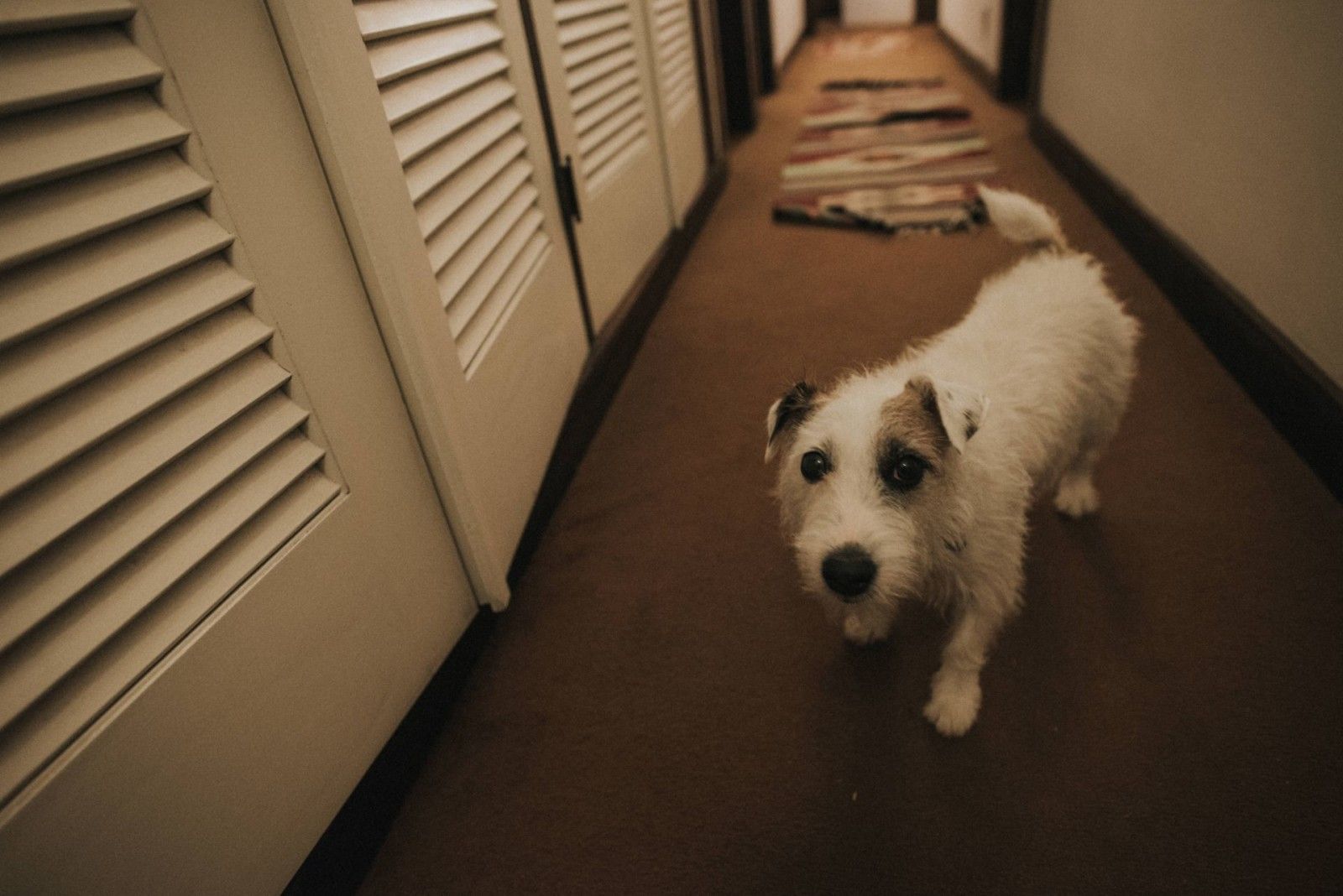 Casamento na montanha - 2 - 36