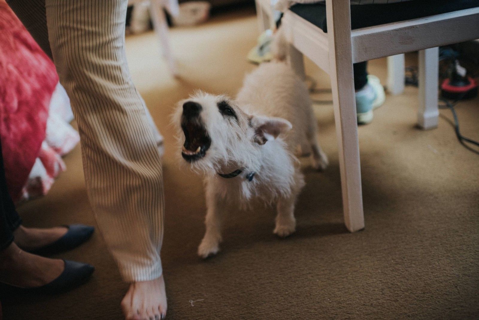 Casamento na montanha - 2 - 100
