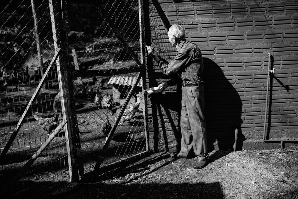 Polenta Gourmet - 2 - 57