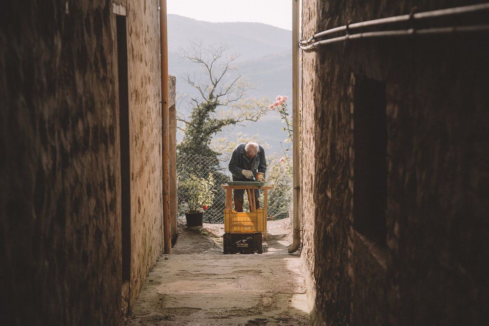 Karen + Tom - 2 - 316