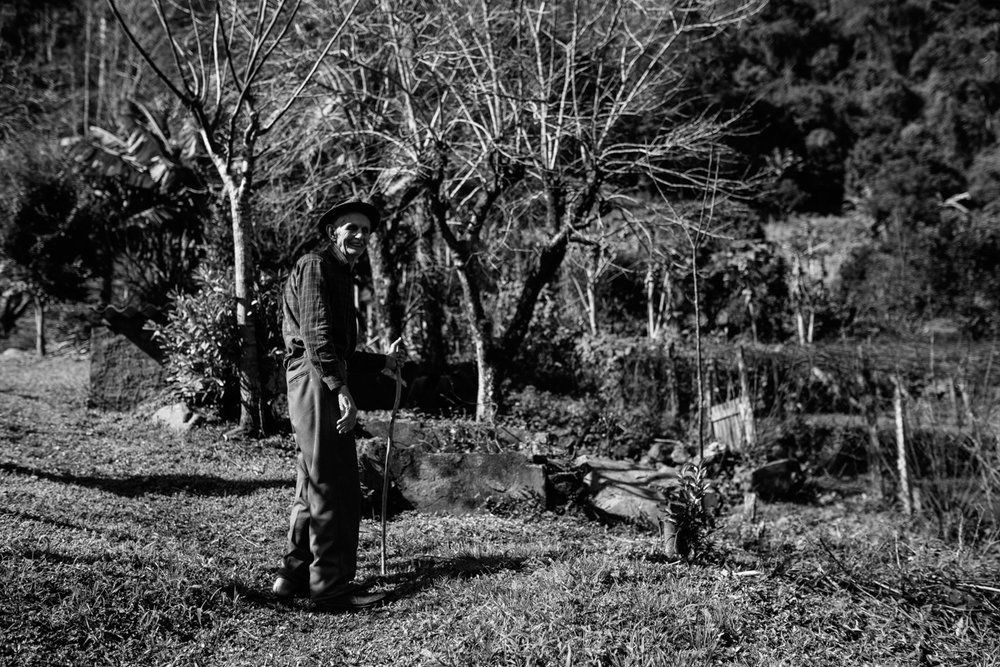 Polenta Gourmet - 2 - 60