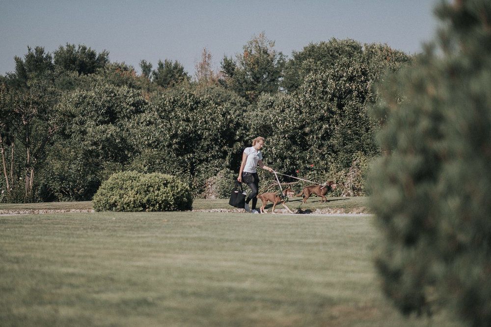 Royal Air Maroc Sucks - 2 - 279