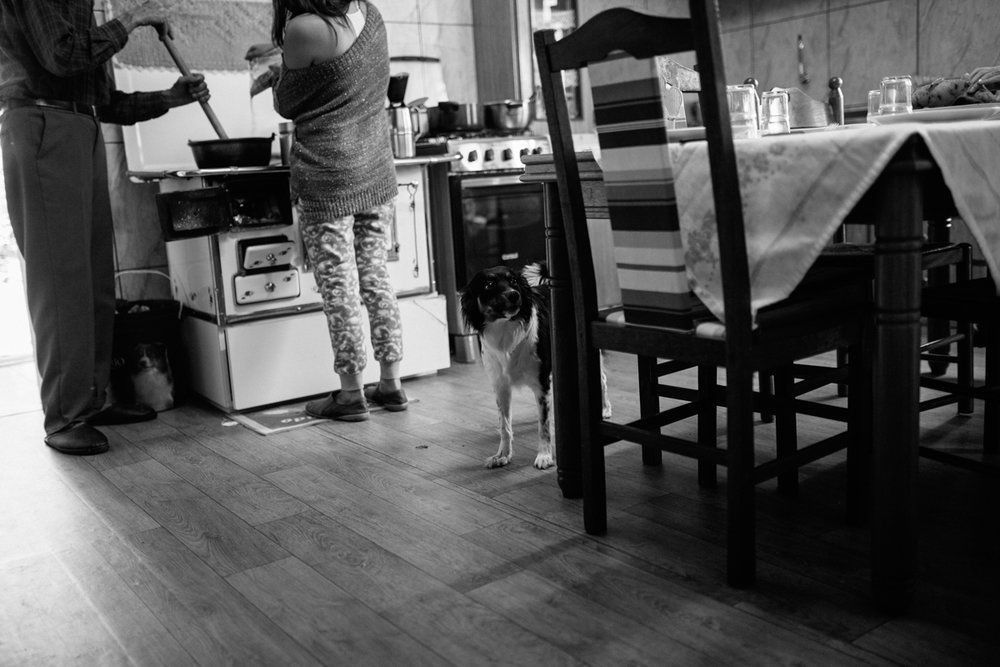 Polenta Gourmet - 2 - 62