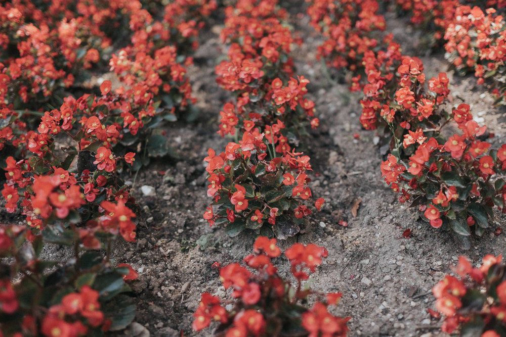 Royal Air Maroc Sucks - 2 - 327