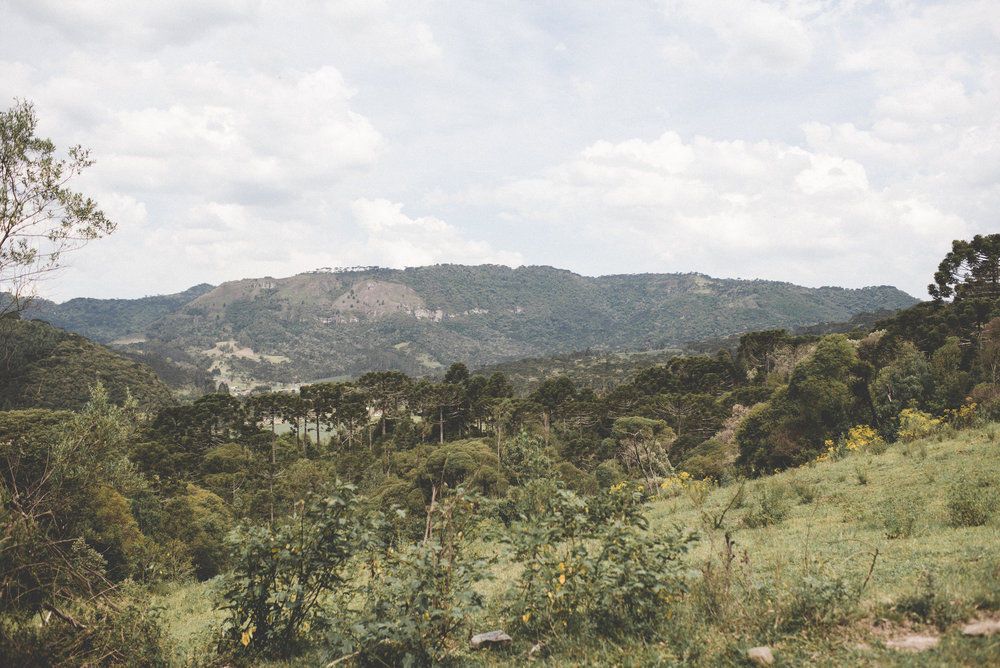 Renovar é preciso - 8 - 4