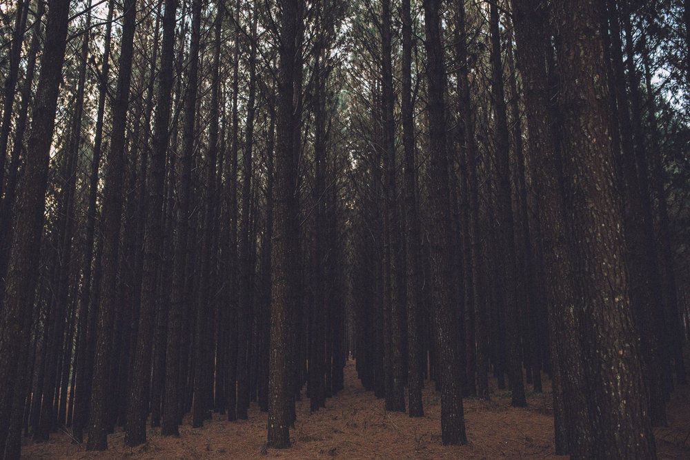 Into The Unknown - 2 - 11