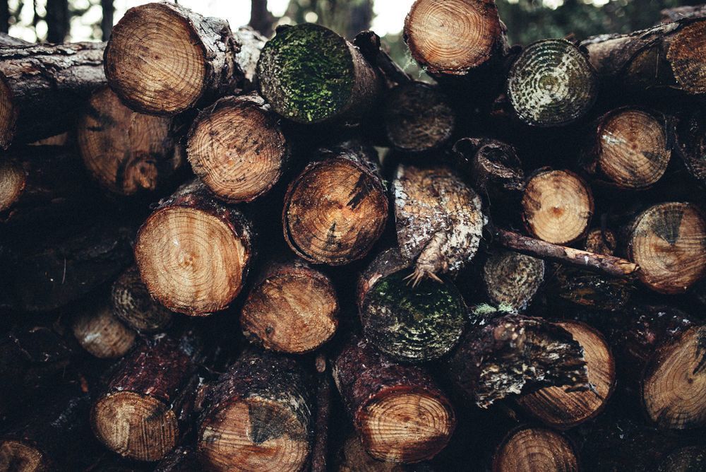 Fifty Riders Lifestyle - 2 - 24