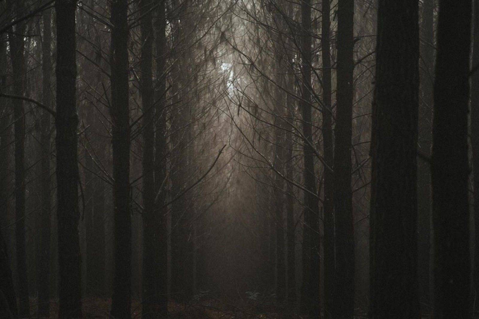 Fotógrafo em Urubici - 28 - 22