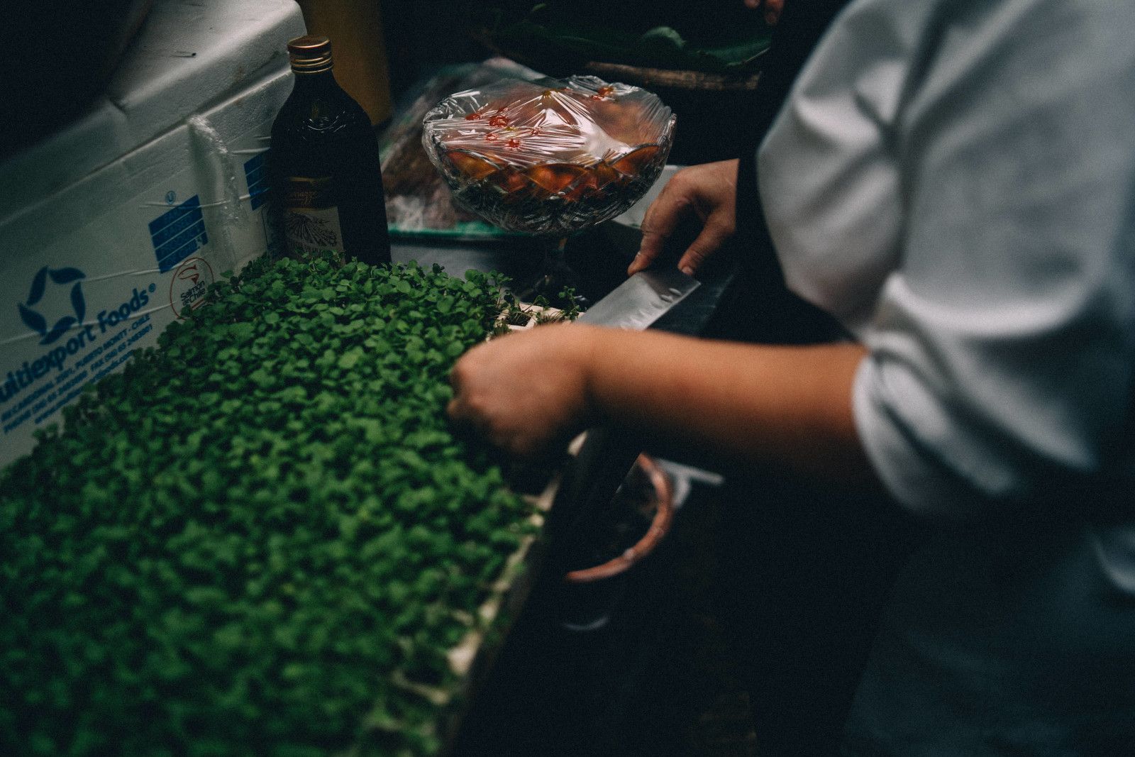 Casamento Daniel e Suelen na Lagoa da Conceição, em Florianópolis - 5 - 12